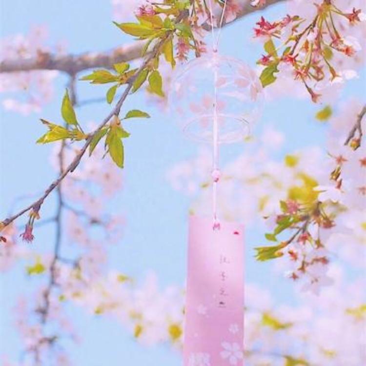 相乐总三（身份：赤报队队长、左之助师父） - 日剧双语字幕在线观看 - 网络追剧